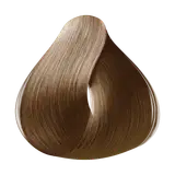 Amend Magnific Color 8.1 Louro Cinza - Coloração 200g