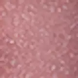 Ruby Rose Shine Kisses Glitter 360 - Batom Líquido 2,1ml
