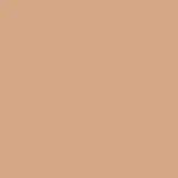 Corretivo Niina Secrets Perfect Match Cor 10 10ml