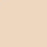 Corretivo Niina Secrets Perfect Match Cor 0 10ml