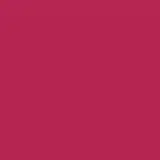 Batom Líquido Pink Peônia Niina Secrets Skinny Matte 5ml
