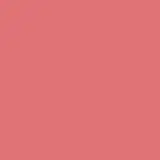 Batom Líquido Rose Gardênia Niina Secrets Skinny Matte 5ml