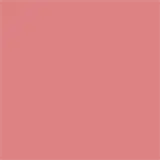 Eudora Niina Secrets Skinny Matte Rose Gardênia - Batom Líquido 5ml