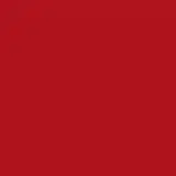 Batom Líquido  Vermelho Hibisco Niina Secrets Skinny Matte 5ml