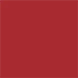 Eudora Niina Secrets Skinny Matte Vermelho Hibisco - Batom Líquido 5ml
