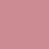 Blush Compacto Cerejetim 2g