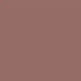 Lapiseira Labial Castanho Claro 0,35g