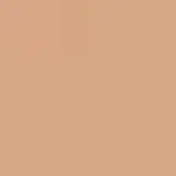 Shiseido Waso Koshirice Tinted Spot Treatment Golden Ginger - Corretivo Líquido 8ml