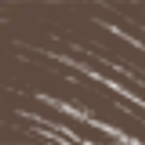 Maybelline New York Tattoo Brow 3 Dias Medium Brown - Gel para Sobrancelhas 5g