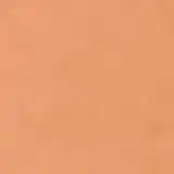 Clinique Beyond Perfecting Foundation + Concealer 17 Nutty - Base 2 em 1 30ml