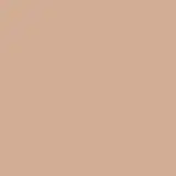 Base Líquida Daily Tint Cream Niina Secrets Cor 0 25ml