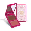 Paleta Multifuncional  Niina Secrets Luminous Summer Cor 1 7g