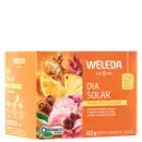 A imagem mostra a embalagem do chá em uma caixa retangular laranja com imagens de frutas cítricas, especiarias e flores. Texto em português descrevendo os ingredientes.