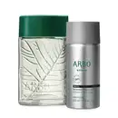 Dois itens da marca Arbo, sendo um vidro transparente verde com relevo de folhagens e tampa verde escura contendo 100ml de desodorante colônia e um refil em frasco prateado contendo 100ml de desodorante colônia da linha Intenso.