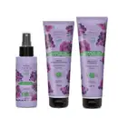 Imagem de três produtos da marca Cuide-se Bem Feira Cachos de Uva: frasco de spray para cabelos, bisnaga de condicionador e bisnaga de shampoo, todos com embalagens roxas com estampa de cachos de uva.
