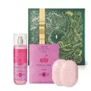 Imagem do Combo Cuide-se Bem Cereja Livre com body splash em embalagem transparente com líquido rosa, caixa lilás com ilustração de cereja, dois sabonetes em barra em formato oval lilás e uma caixa presenteável verde com fita e ilustração douradas.
