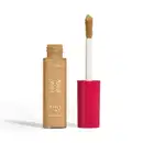 Corretivo Líquido Niina Secrets Daily Tint Cor 25 10ml