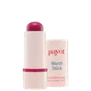 Bastão de blush rosa da marca Payot, com embalagem branca e vermelha, apresentando texto legível "Blush Stick" e "multifuncional" na parte frontal.