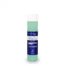 A imagem mostra um frasco transparente com rótulo azul e tampa branca de 290ml do shampoo da linha Fruit Therapy Vegan Blueberry, onde é possível ver o conteúdo esverdeado por dentro. O design traz informações sobre benefícios e composição.