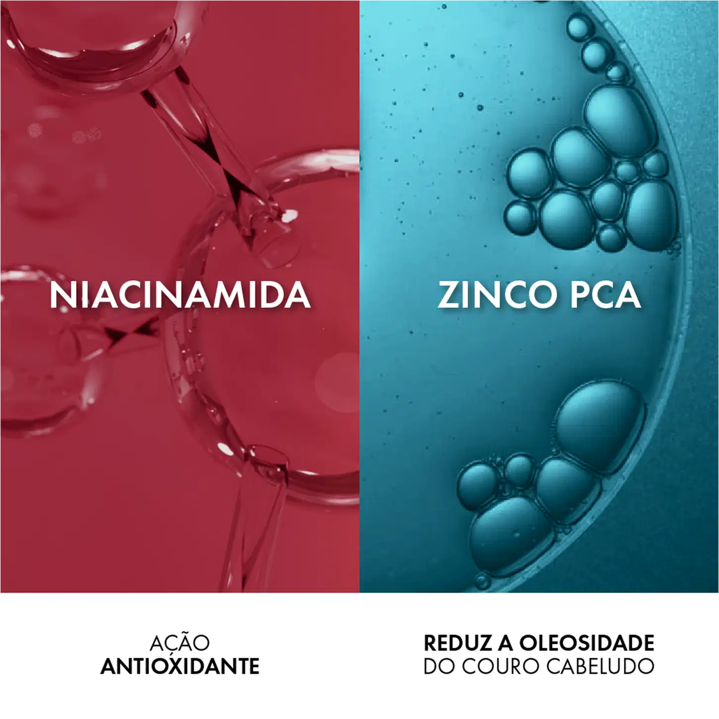 Niacinamida: ação antioxidante

Zico PCA: reduz a oleosidade do couro cabeludo