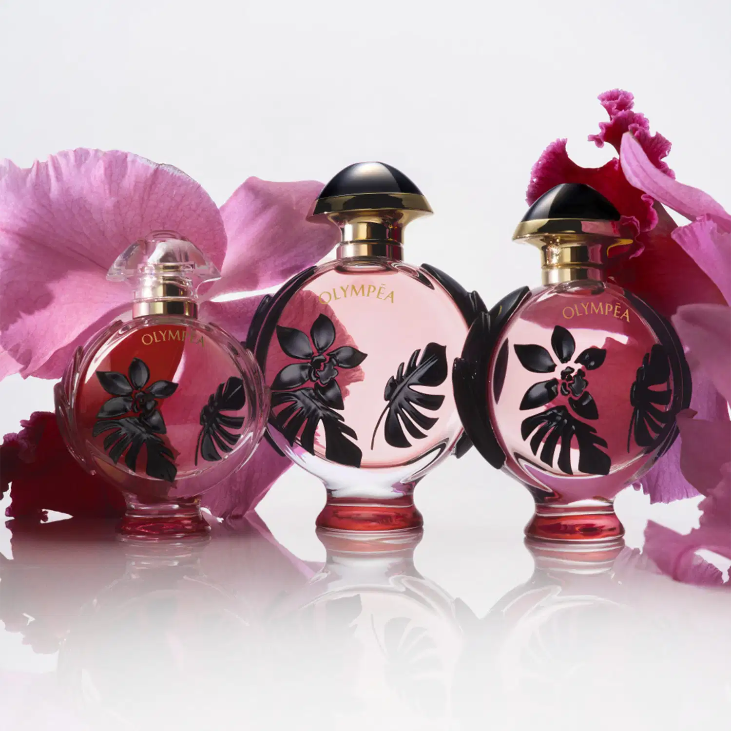 Três frascos de perfume Olympea da marca Paco Rabanne, com design elegante e floral em tons de rosa e preto, exibindo o nome da fragrância em destaque.