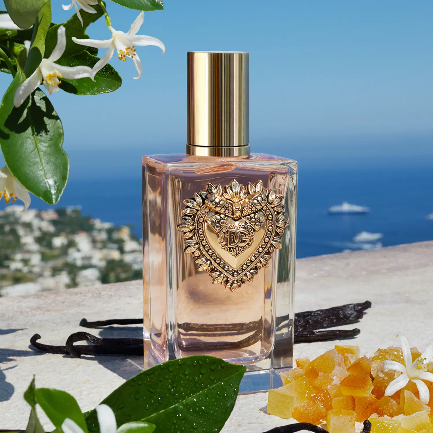 Perfume Devotion Dolce & Gabbana Feminino | Beleza na Web