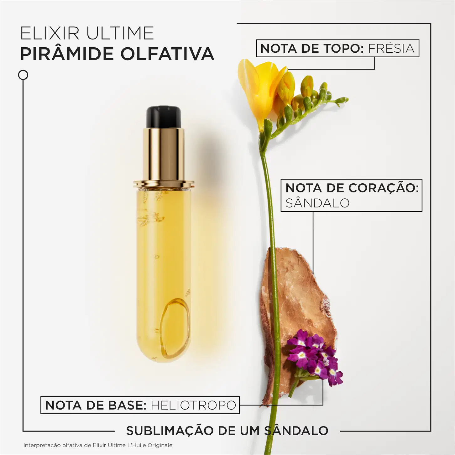 A imagem mostra o frasco de refil do óleo e descreve sua pirâmide olfativa, nota de topo: frésia, nota de base: heliotropo, nota de coração: sândalo.