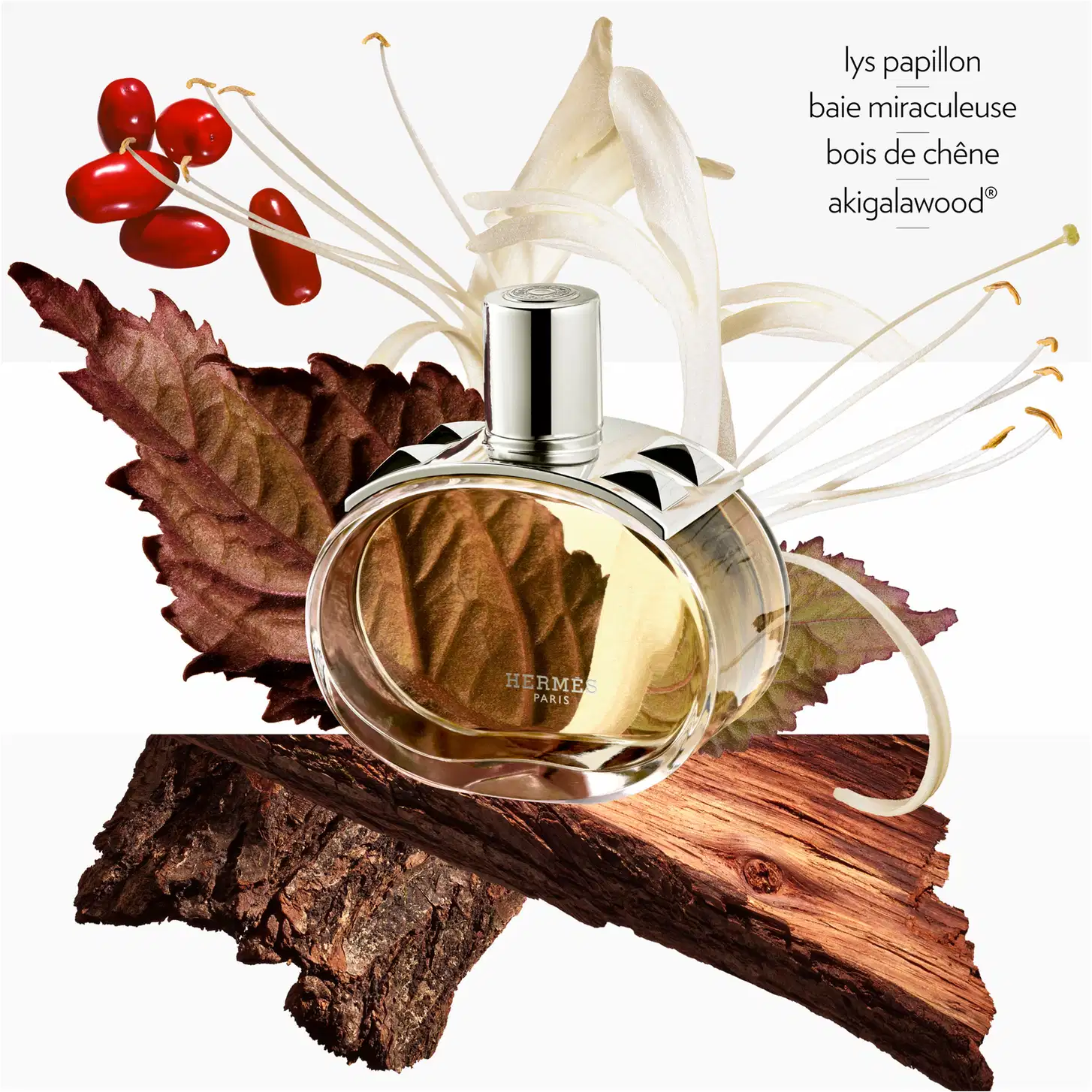 Imagem mostra o Perfume Hermès e os elementos da sua pirâmide olfativa . A composição inclui lys papillon (lírio), baie miraculeuse (baga milagrosa), bois de chêne (madeira de carvalho) e akigalawood.