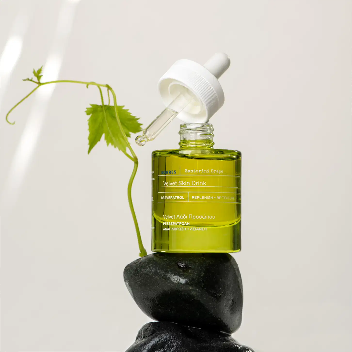 A imagem mostra o produto sobre uma pedra preta e um galho com uma pequena folha compondo a imagem.