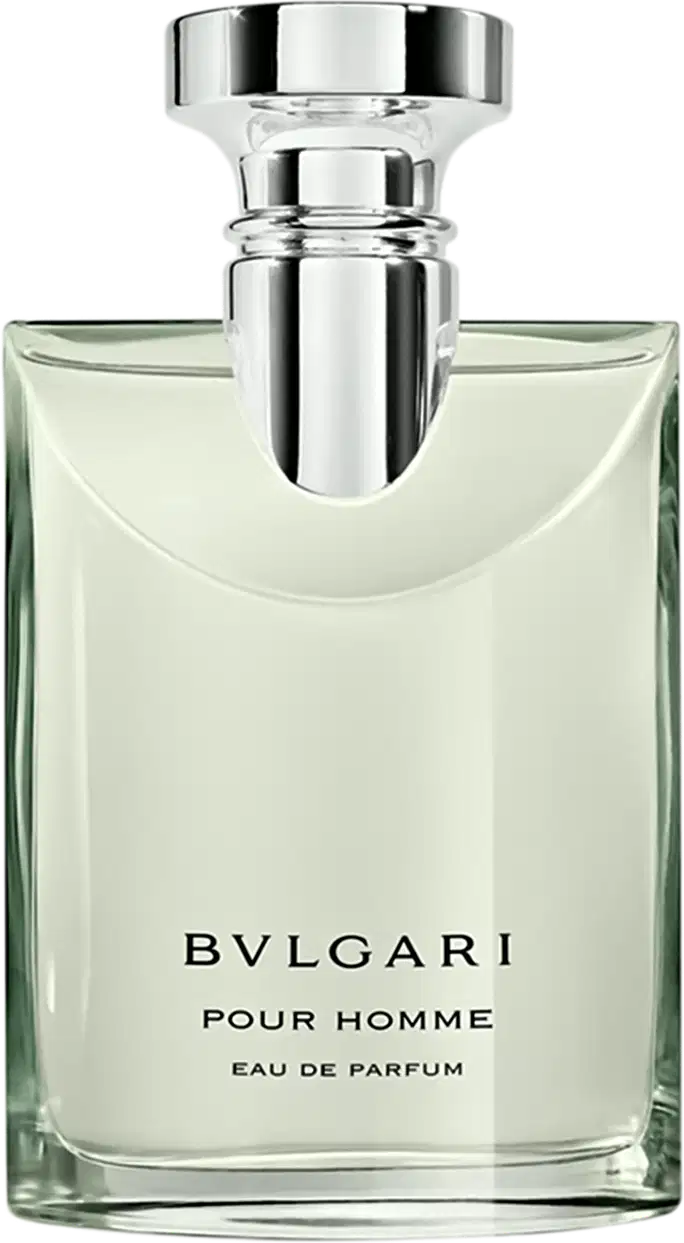 Perfume Pour Homme Bvlgari Masculino 100ml | Beleza na Web