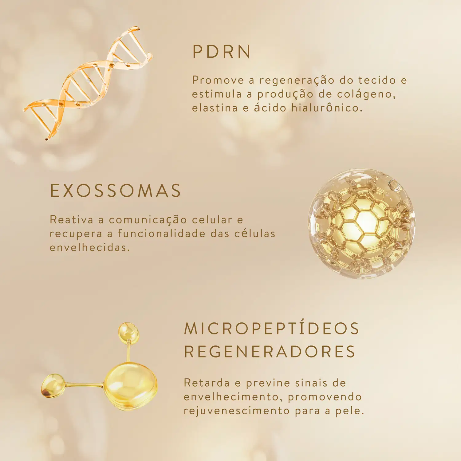 PDRN promove a regeneração do tecido e estimula a produção de colágeno, elastina e ácido hialurônico. EXOSSOMAS reativa a comunicação celular e recupera a funcionalidade das células envelhecidas.