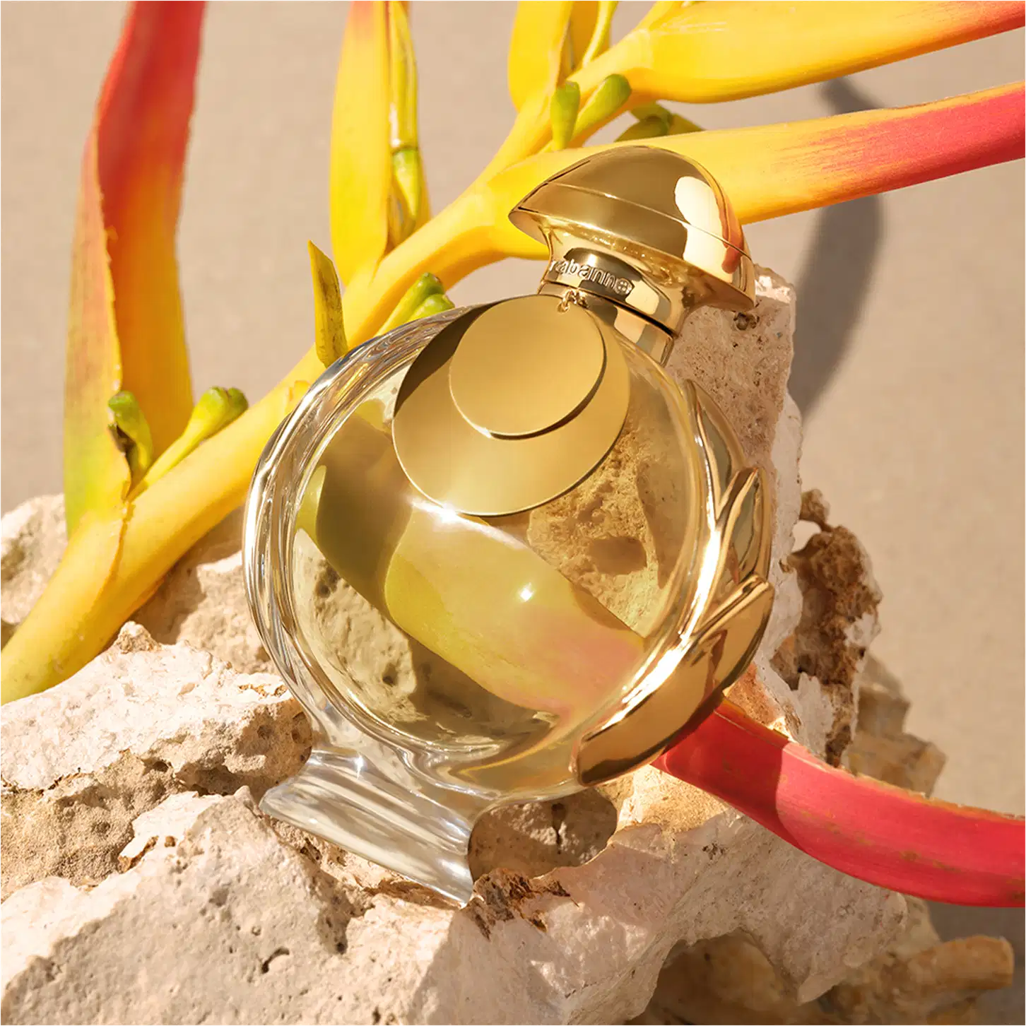 Recipiente de item de perfumaria dourado em primeiro plano, com flores amarelas e vermelhas ao redor, sobre pedras em um ambiente natural.