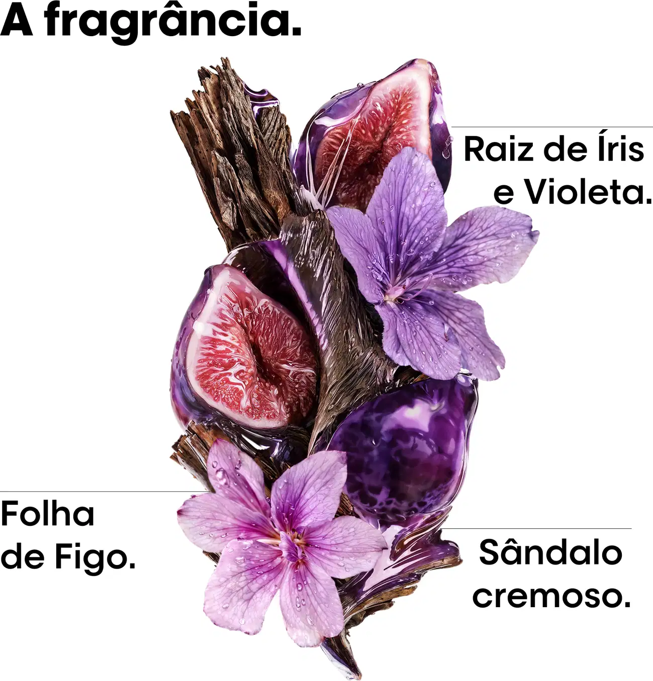 A fragrância. Raiz de Íris e Violeta. Folha de Figo. Sândalo cremoso.