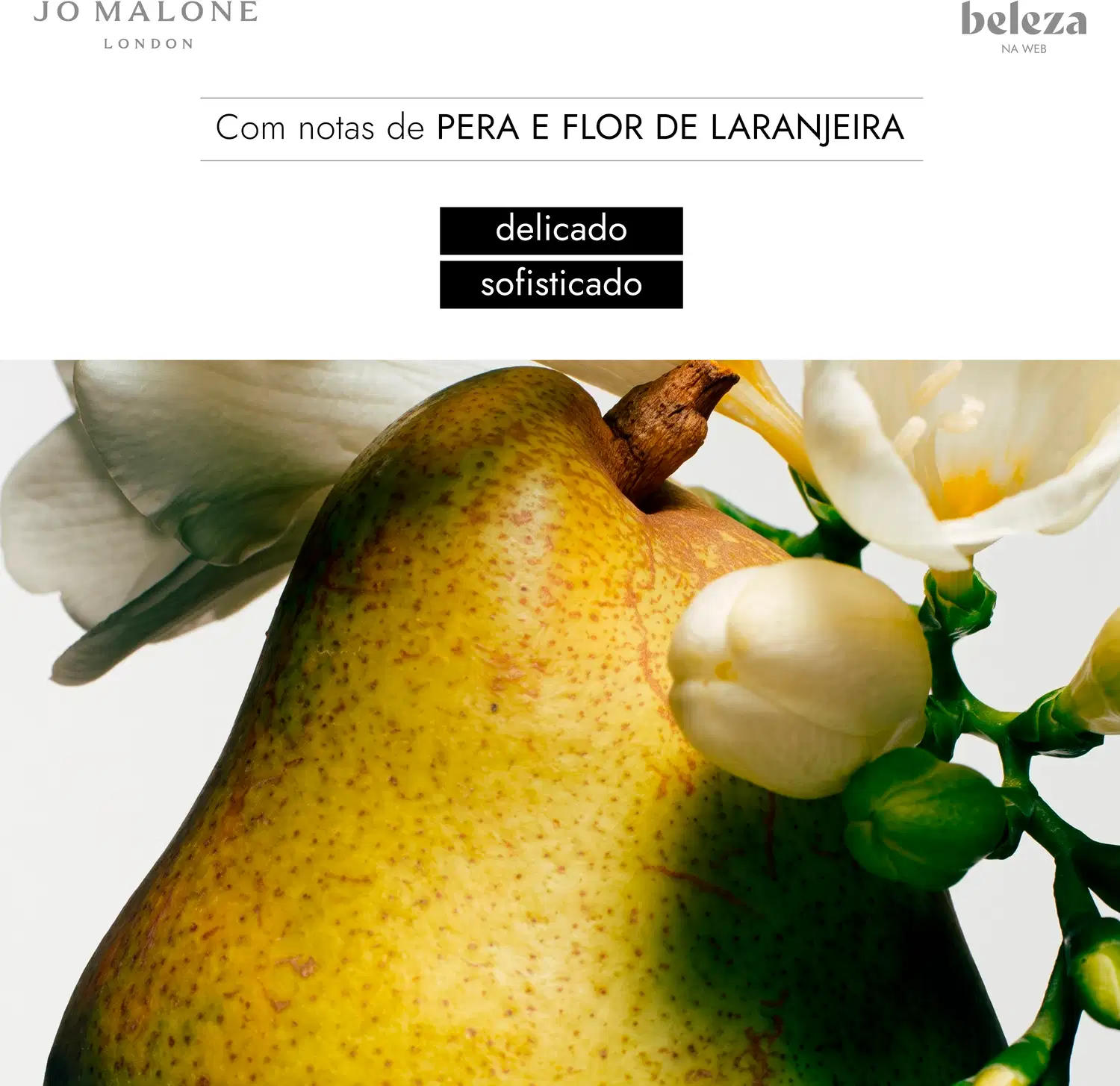 Uma pera amarela e uma flor branca em um fundo claro, com os textos "delicado" e "sofisticado" visíveis.