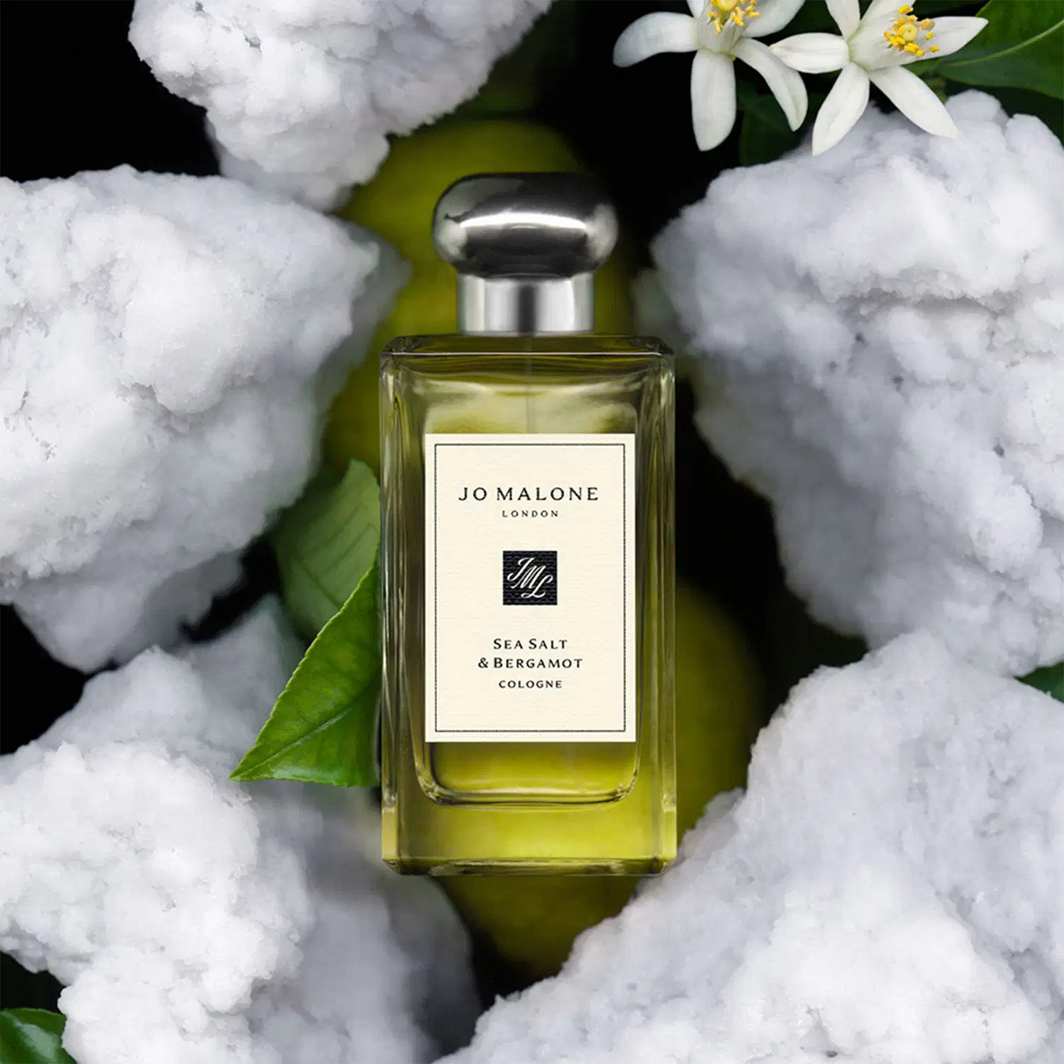 Ambiente com sal marinho e flores brancas e folhas verdes, ao centro, o frasco de perfume da marca Jo Malone London, Sea Salt & Bergamot
