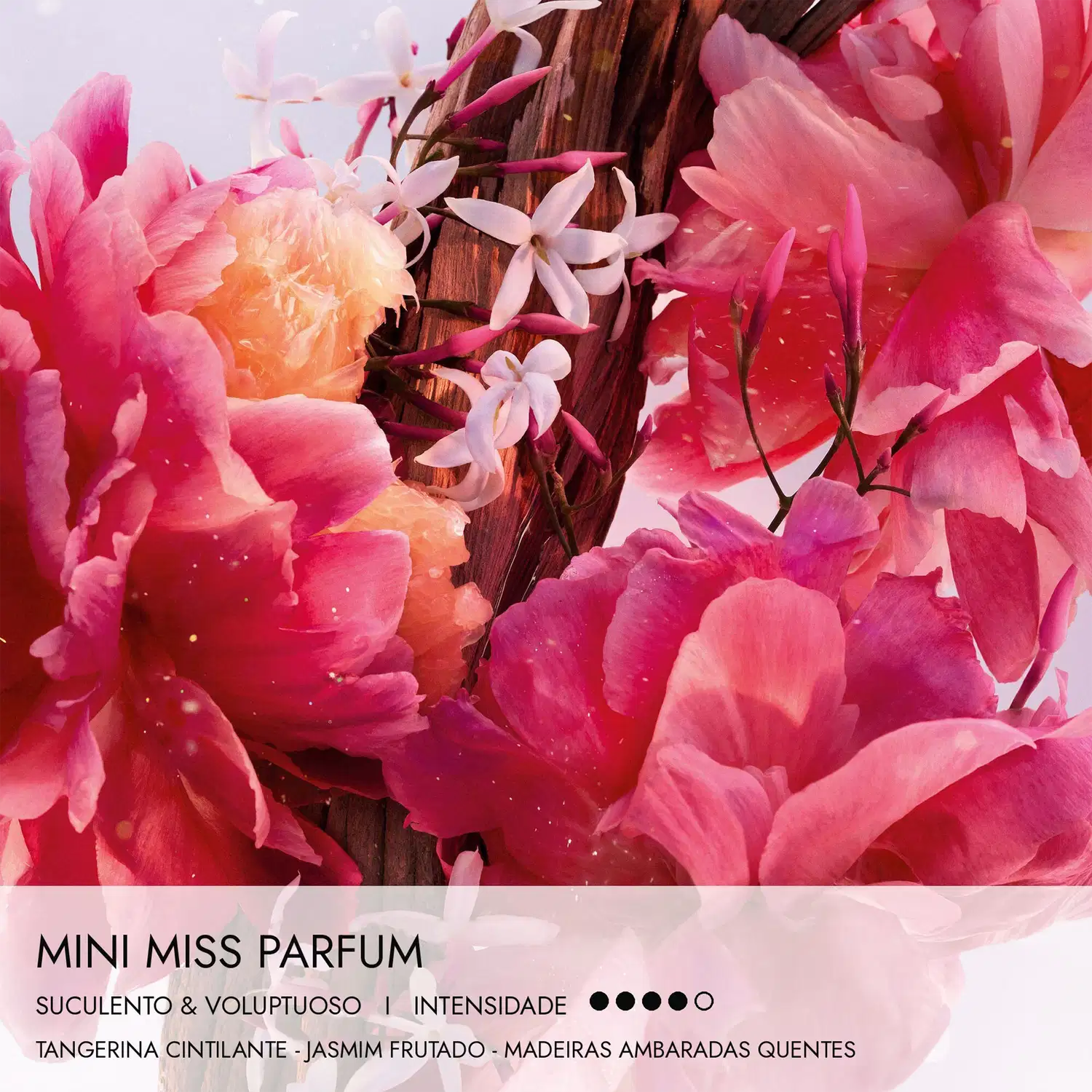 Mini Miss Parfum item de perfumaria com flores rosa e laranja em embalagem de madeira, indicando fragrância suculento e voluptuoso com notas de tangerina, jasmim e madeiras.