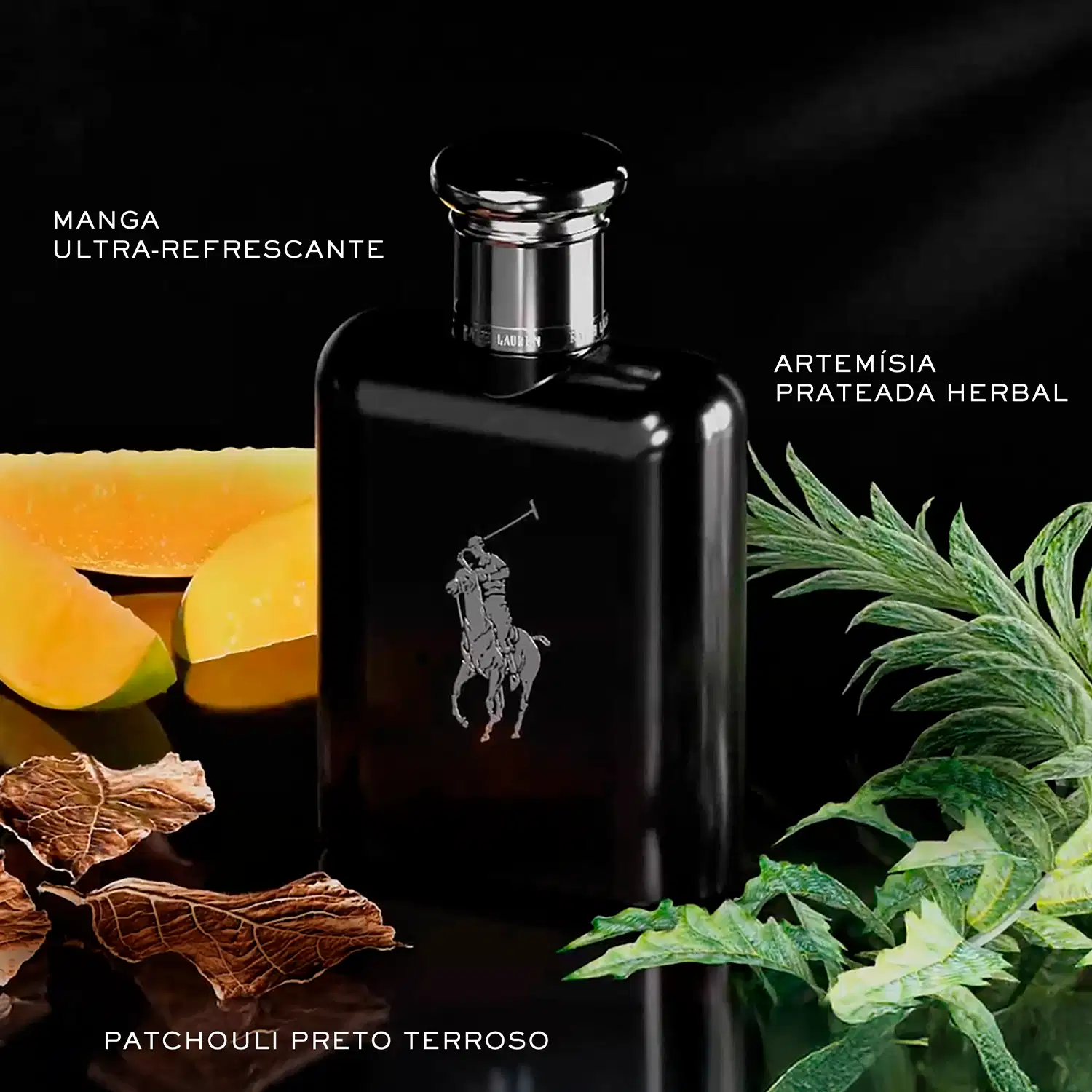Frasco de perfume preto Polo Black da marca Ralph Lauren com tampa prateada e logotipo da marca em destaque.