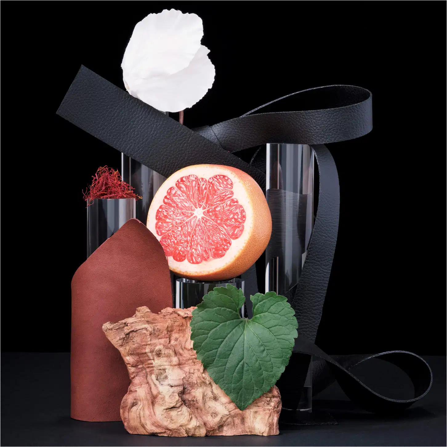 Ambiente elegante e sofisticado, com elementos naturais como folhas e frutas cítricas, em contraste com materiais escuros e estruturados, sugerindo uma fragrância ou produto de beleza da marca Carolina Herrera.