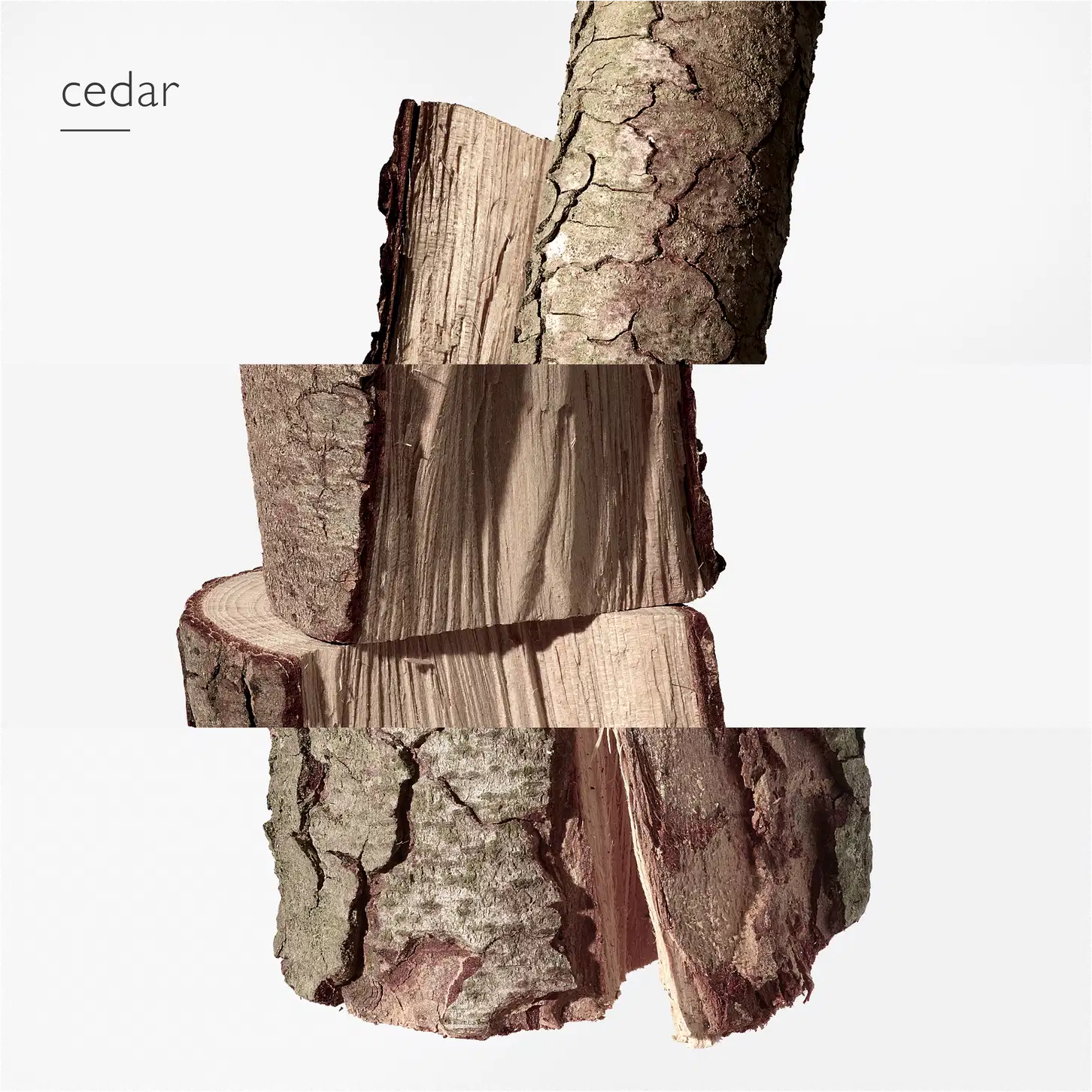 Pedaço de madeira com uma uma superfície rústica e irregular, com tonalidades de marrom e cinza, evocando a casca de uma árvore de cedro. A madeira exibe rachaduras e relevos, sugerindo uma textura áspera e natural.