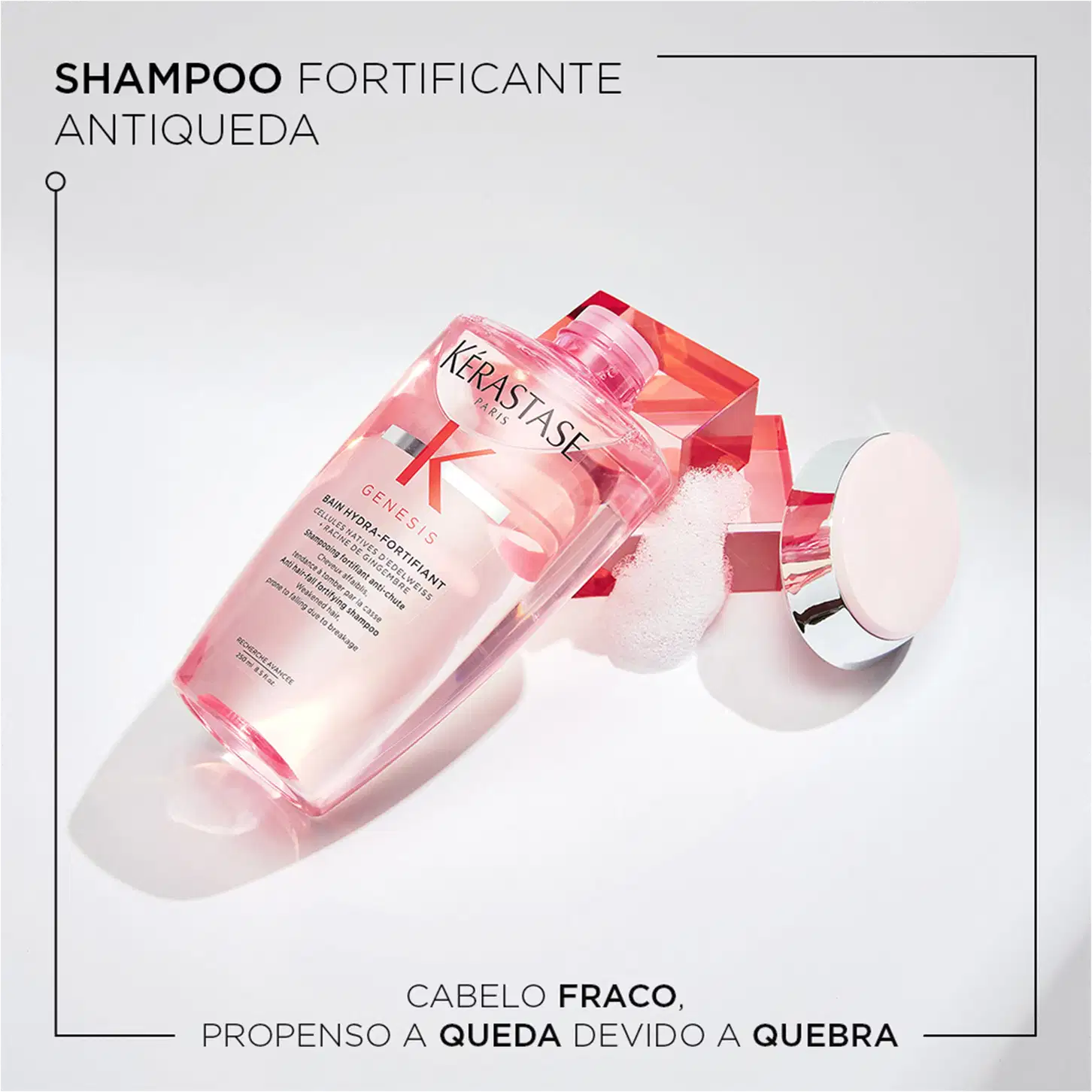 SHAMPOO FORTIFICANTE ANTIQUEDA
GENES FORTIFIANT
CABELO FRACO, PROPENSO A QUEDA DEVIDO A QUEBRA