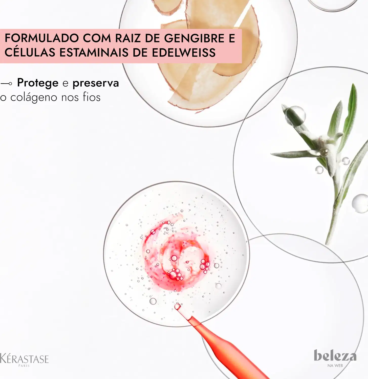 Produto Kérastase com fórmula à base de gengibre e células estaminais de edelweiss, em frasco transparente com líquido rosa e bolhas, protegendo e preservando o colágeno dos fios.