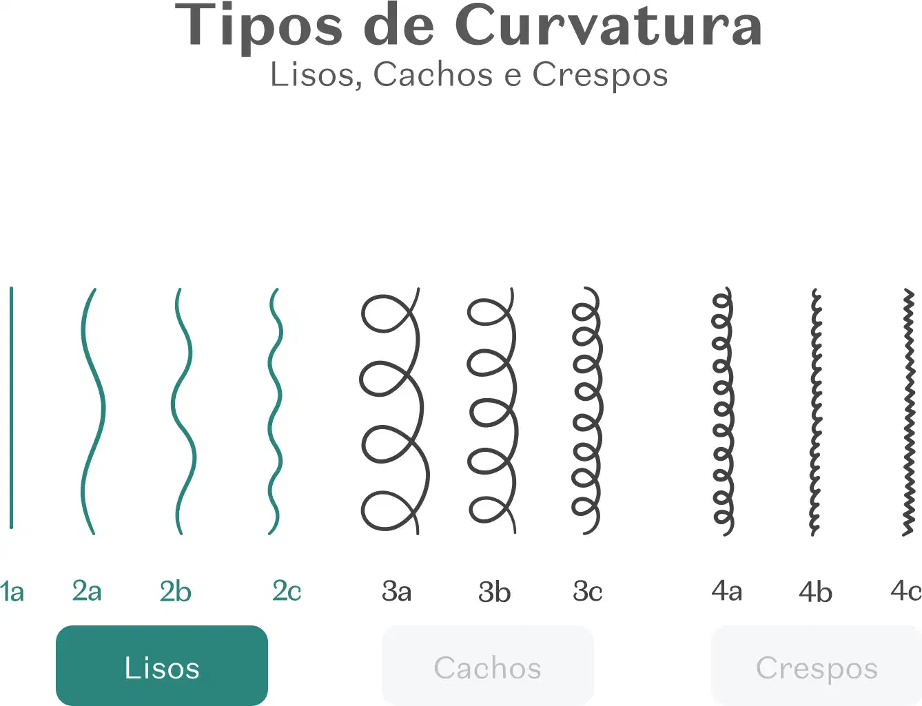 Imagem mostrando diferentes tipos de curvatura de cabelos, incluindo lisos, cachos e crespos, com legendas em português.