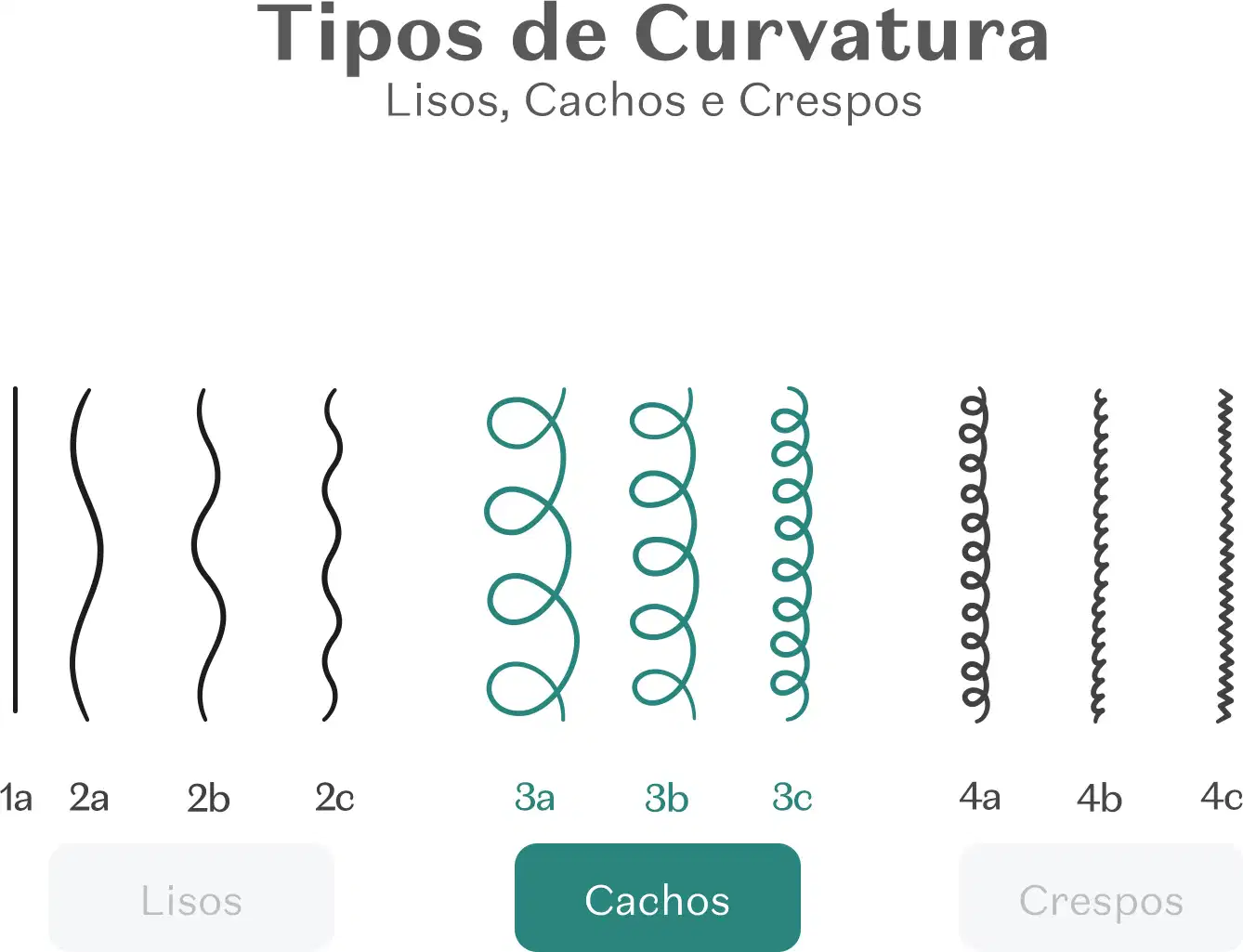 Imagem mostrando diferentes tipos de curvatura de cabelos, incluindo lisos, cachos e crespos, com legendas em português.