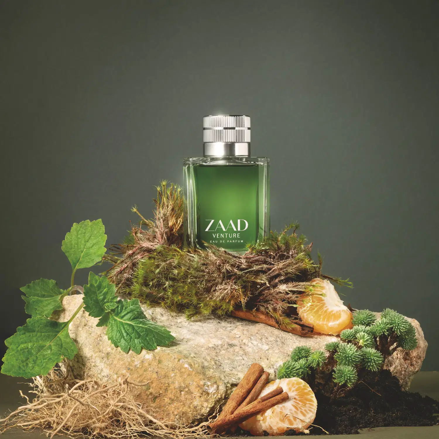 Vidro retangular na cor verde oliva com tampa texturizada prateada e letras cinza contendo Eau de Parfum Zaad Venture em meio a folhas, galhos e elementos naturais sobre superfície rochosa, em cenário escuro e verde.