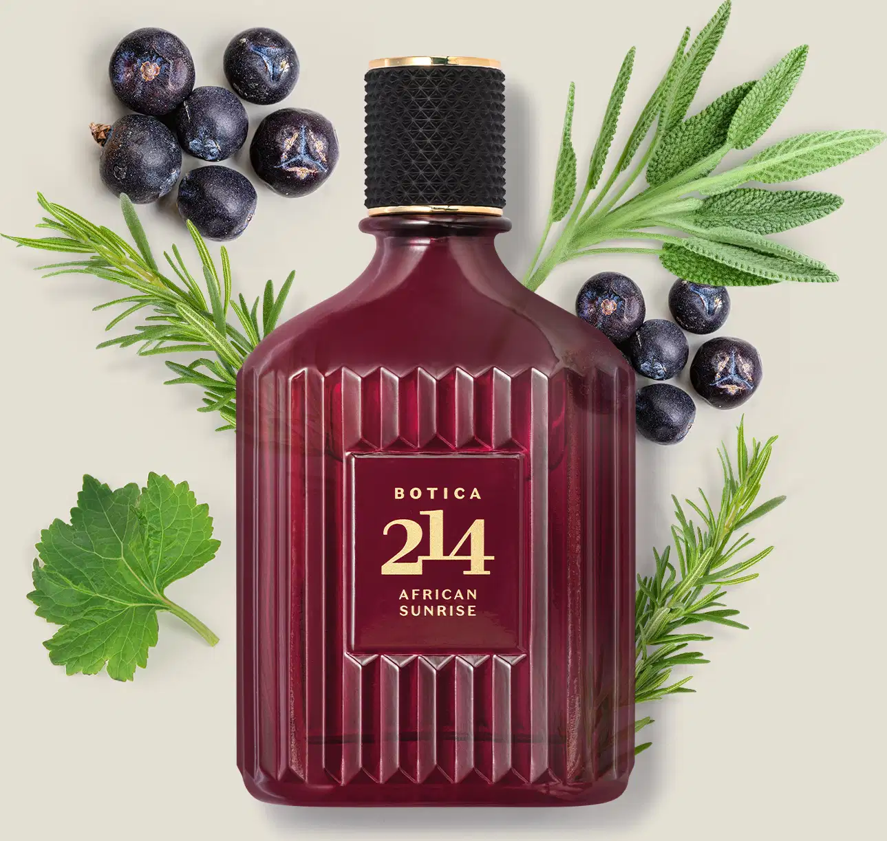 Vidro ondulado na cor vinho em formato quadrado com tampa preta e letras douradas no rótulo contendo 90ml de Eau de Parfum Botica 214 African Sunrise Fougére Amadeirado rodeado por folhas verdes e frutas escuras em superfície clara.