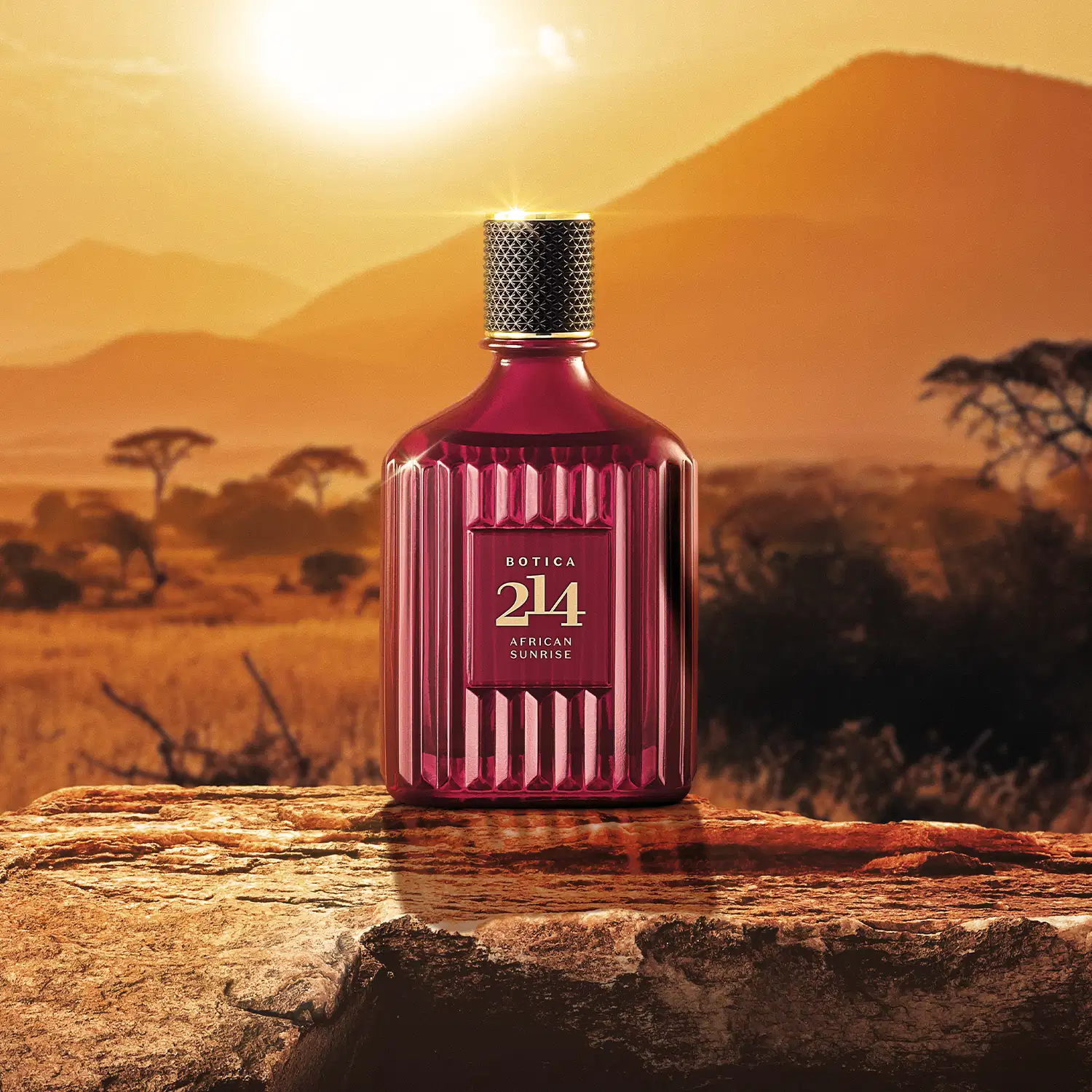 Vidro na cor vinho em formato quadrado com tampa preta e letras douradas no rótulo contendo 90ml de Eau de Parfum Botica 214 African Sunrise Fougére Amadeirado com paisagem de savana africana ao fundo, com montanhas, árvores e céu dourado ao pôr do sol.