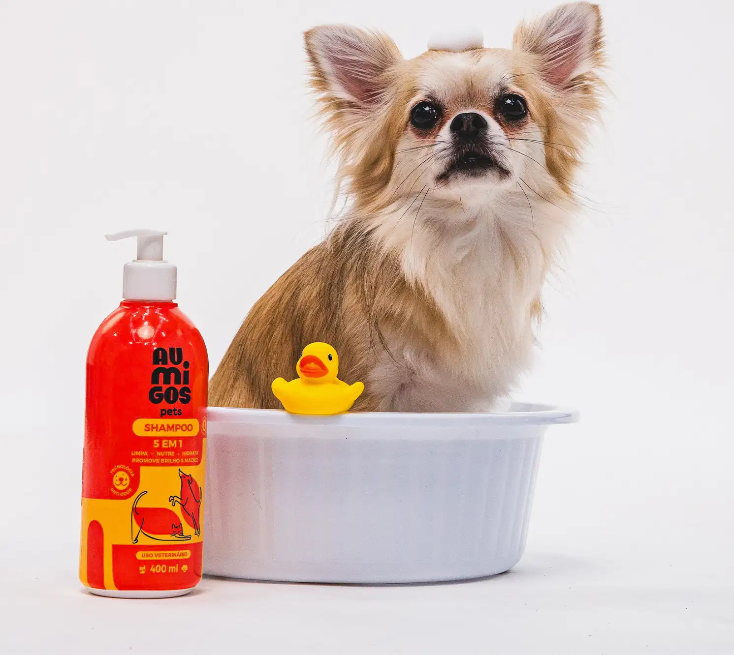 Frasco laranja e rosa com ilustração de pets no rótulo e bomba dosasdora branca contendo 400ml de shampoo 5 em 1 da marca Au.Migos Pets. Ao lado, um cachorro está em uma banheira branca com um patinho de borracha perto dele.