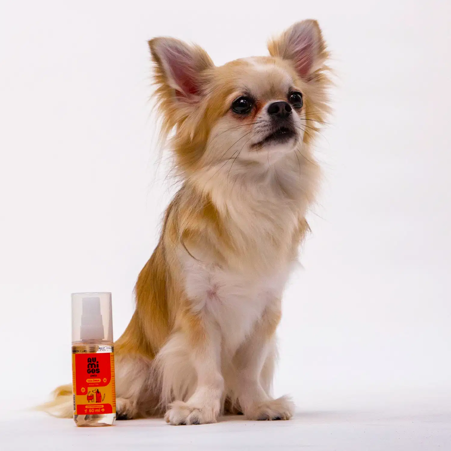 Frasco  com líquido claro, válvula spray branca e rótulo laranja e rosa com ilustrações de um gato e de um cachorro contendo colônia adultos da marca Au.Migos Pets. Ao lado do produto, um cachorro bege e branco com as orelhas em pé.