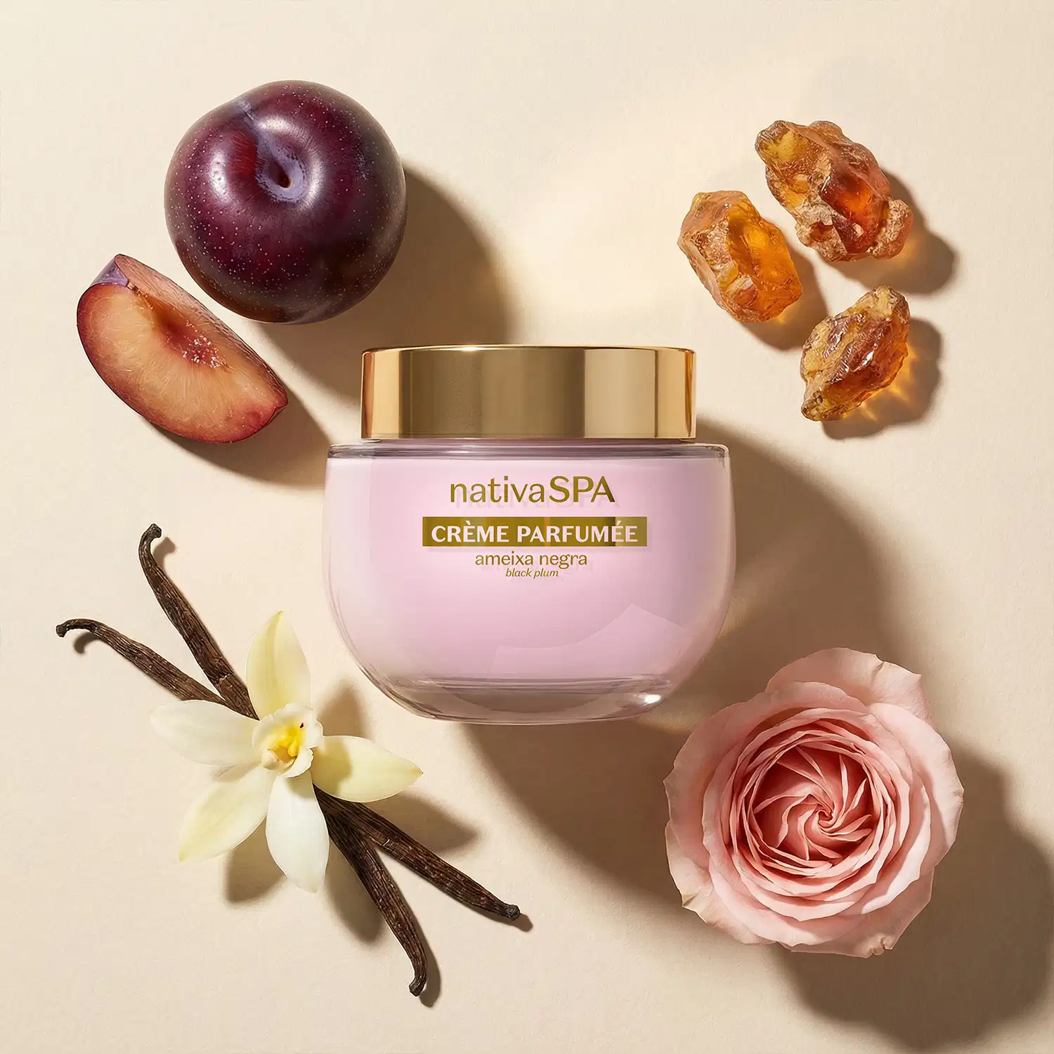 Pote de creme perfumado Nativa SPA Ameixa Negra em fundo rosa claro rodeado por ingredientes, sendo uma rosa cor-de-rosa, duas favas de baunilha com uma flor de baunilha sobre elas uma ameixa negra inteira e outra fatiada em meia lua e cristais âmbar.