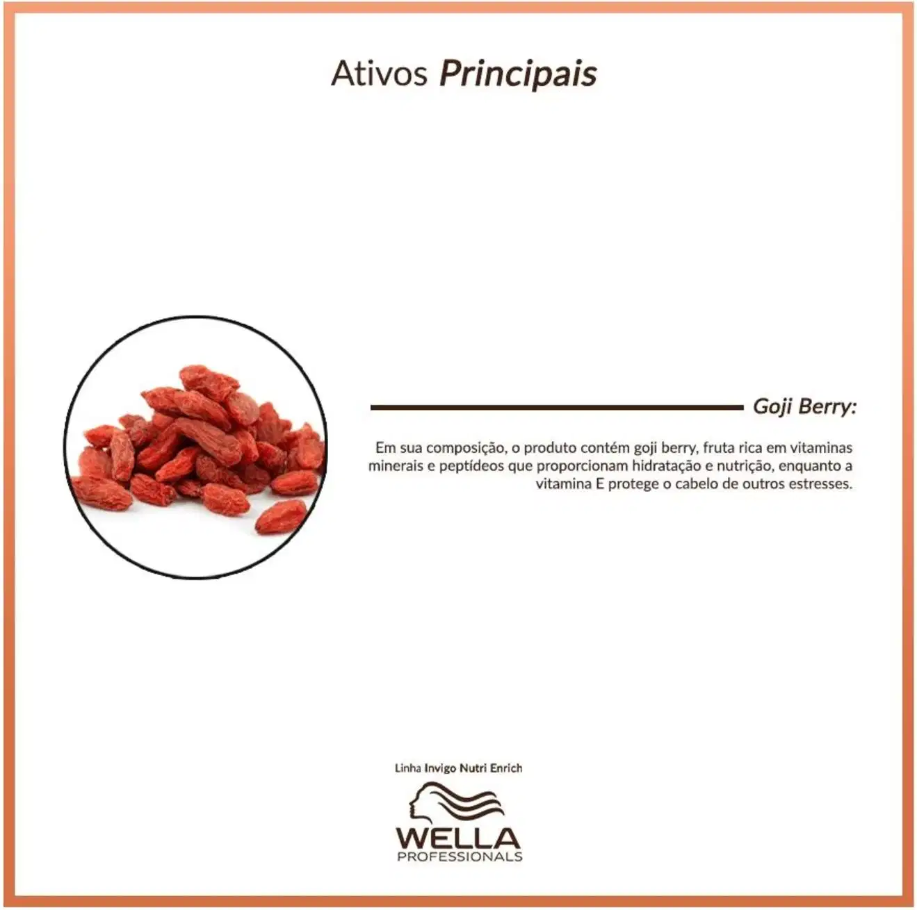 A foto mostra uma imagem circular com vários pedaços alongados de cor vermelha, que são os goji berries. O texto descreve que o produto contém essa fruta rica em vitaminas, minerais e peptídeos que proporcionam hidratação, nutrição.